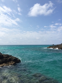 2017-03-20 10.40.29.jpg