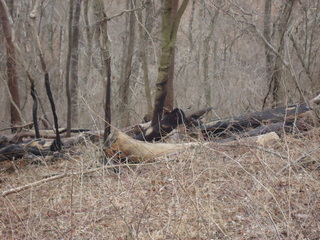 DSC00275.JPG