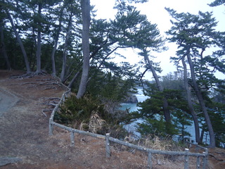 DSC00302.JPG