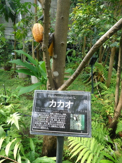 DSC00554.JPG