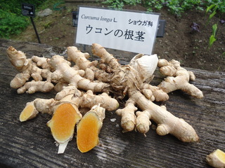 DSC00586.JPG