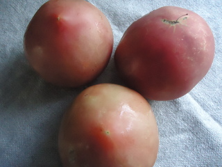 DSC00931.JPG