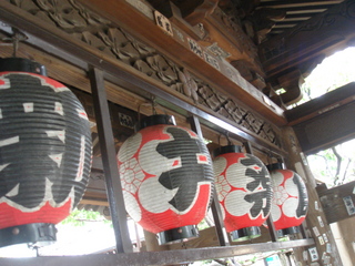 DSC03513.JPG